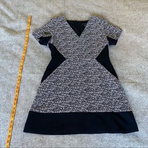 BANANA REPUBLIC Office Dress (size 12P)